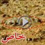 اكتشاف سحلية كأول دليل للحياة على كوكب المريخ  	
