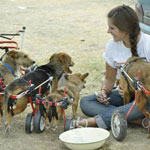 ���� ��� �� ����� ����... ���� ����� ...