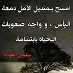 ��� ���� ���