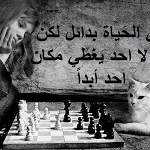 ��� ��� ���� �� ������