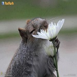 ���� ������ � ����� ���� ���� ����� ����� ����