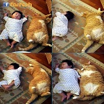 �� �� ���� �� ���