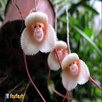 ���� �������� ��� ��� ��� ����� � ���� ����� ���� !!!