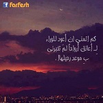 ������ ��� ������