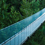 ���� ��� ������ ����!�