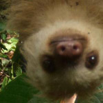 ��������� ����� ��� ��������.