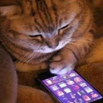 ��� ����� ���� ��������!