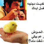 ������ ����!!