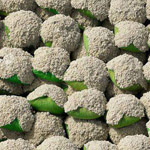 ���� ����� ������� ������ ������� ��� ������� ������ �� ���� ����� ���� ���� �� ������