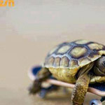 ��� ����� ��.