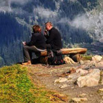 ���� ����� ���������