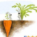 ������ ���� �� �������