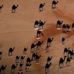 ����� ������� ���� ������ ������ ����� ������� �� ��� �� ����� �����