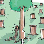 ������� ���� �������