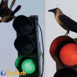 ��� ������� ���� ��� ������� ������� ...