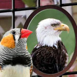 ���� ���� ���� ���