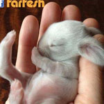 ���� ���� ������� ���� �� ������