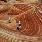 ���� ����� �� ����� �������