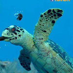 ���� �� �� ���� �� 