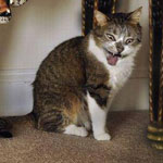 ����� ��� ����� ���� ����� ������ �� ...