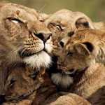 ����� ����� �����!