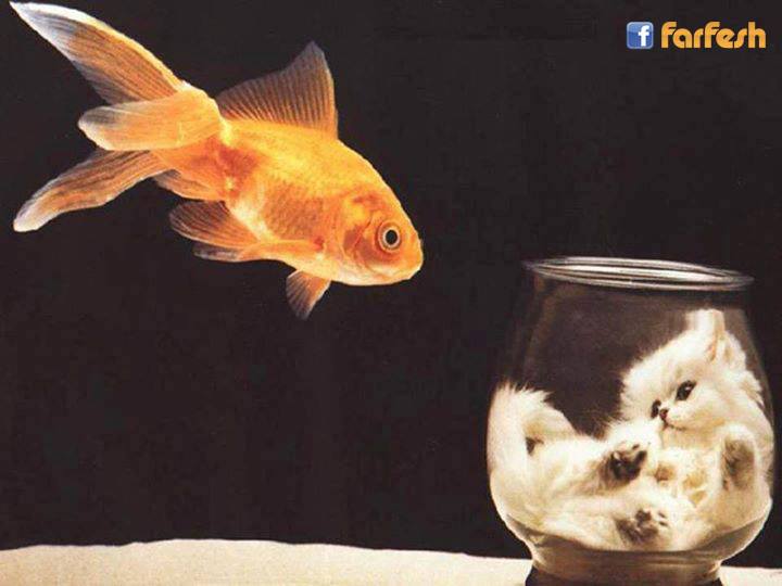 ����� ����� ��������..