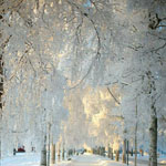 ������ ���� �� ������