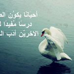 �� ����� ���� ����� ������ ���� ������� �������