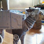 �� ����� ����...