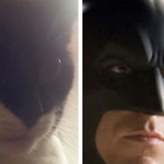 ������ !!!