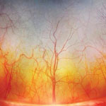 ���� ������ ����� ����� ����� �������...