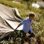 ������ ...