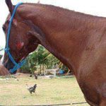 ����� ����� ������ ������ ����� ��� ������ ��� �� ��� ����� ���� ����� ���� �� ���� ��������