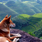 ���� ������� ����� ����� �� �������