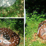 �� ������� ���Ͽ�