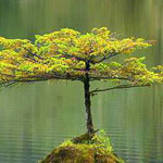 ����� � ����� �� ���� ���� ���� ����� ����