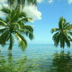 ��� �������..