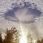 ��� ��� ����� - � ����� ���� fallstreak � ��� ����� ����� ���� �� ������� ������