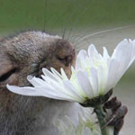 ���� ������ � ����� ���� ���� ����� ����� ����