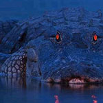 ���� ������� ���� !!!������ ��� ���� ������ !!!