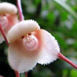 ���� �������� ��� ��� ��� ����� � ���� ����� ���� !!!