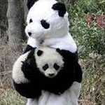 ���� ������ ��� ������ ���� �� ������� �� ����� ��� ���� ������ �� ���� �������� ������� ���� ������� ��� �������� ������