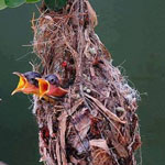 ����� ���� ������..