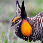 ���� ����� ���� ����� ������ �����