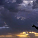 ������ �� ����� �������