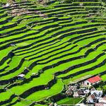 ����� ����� �� �������