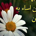 ���� ������ ������