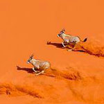 ���� �� ���� ����....���� �������