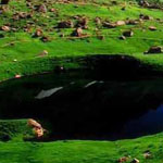 ����� ����� �� ���� ����� � �������