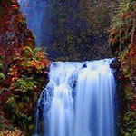 ������ ��������� � ������� � �������� ������� ���������